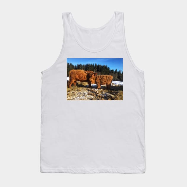 Scottish Highland Cattle Cow and Calf 1697 Tank Top by SaarelaHighland